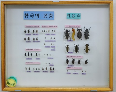 곤충관 전경