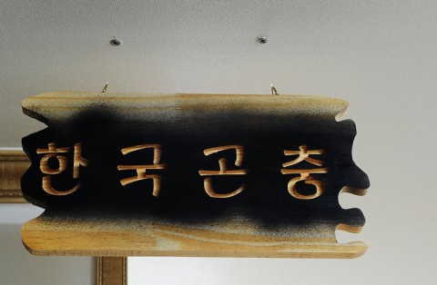 곤충관