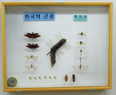 곤충관 전경