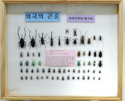 곤충관 전경